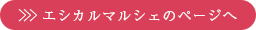 エシカルマルシェのページへ